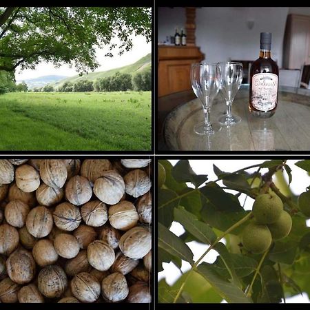 The Old Gemeinde House By The Mosel River 브라운버그 외부 사진