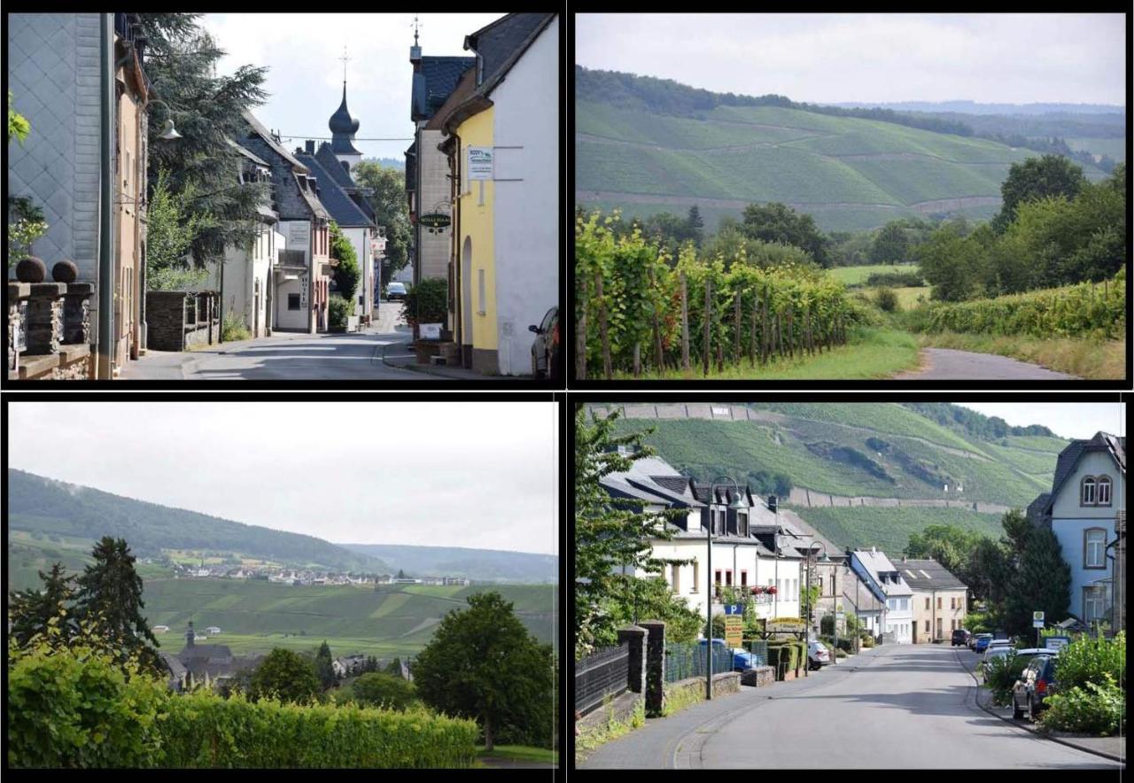 The Old Gemeinde House By The Mosel River 브라운버그 외부 사진
